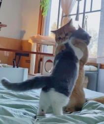 کانال سروش pulse of feeling