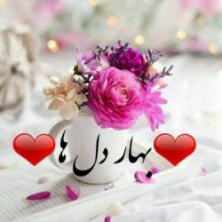 کانال گپ بهار دل ها