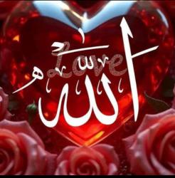 کانال واتساپ مذهبی آرامش با الله ❤️