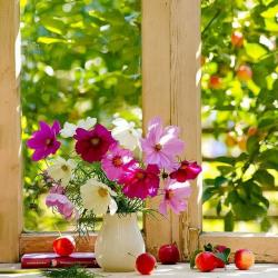 کانال واتساپ آرامش زندگی🌱